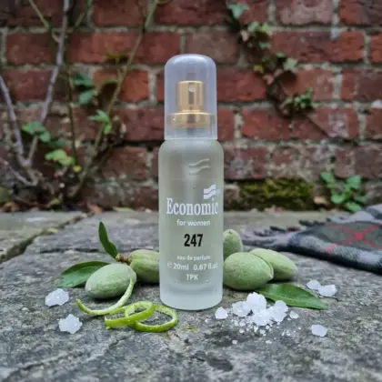 247. inspired by BURBERRY BRIT / Burberry