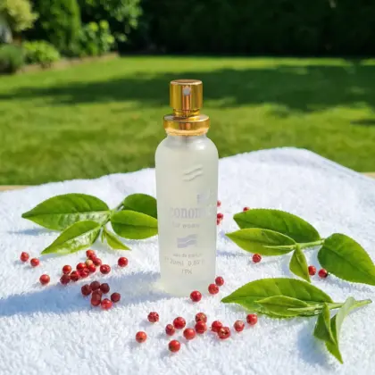 43. inspired by LA COSTE / Lacoste